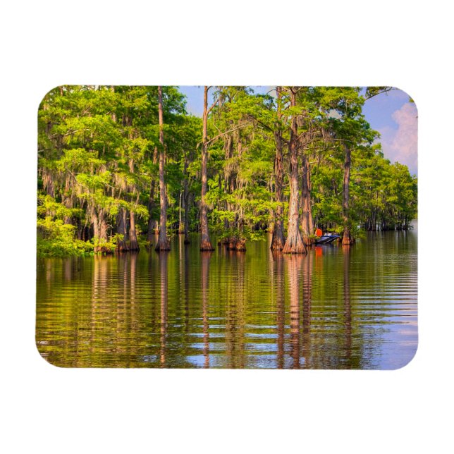Imán Louisiana Bayou Photo Magnet (Horizontal)