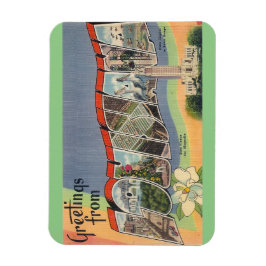 Imán Louisiana Magnet