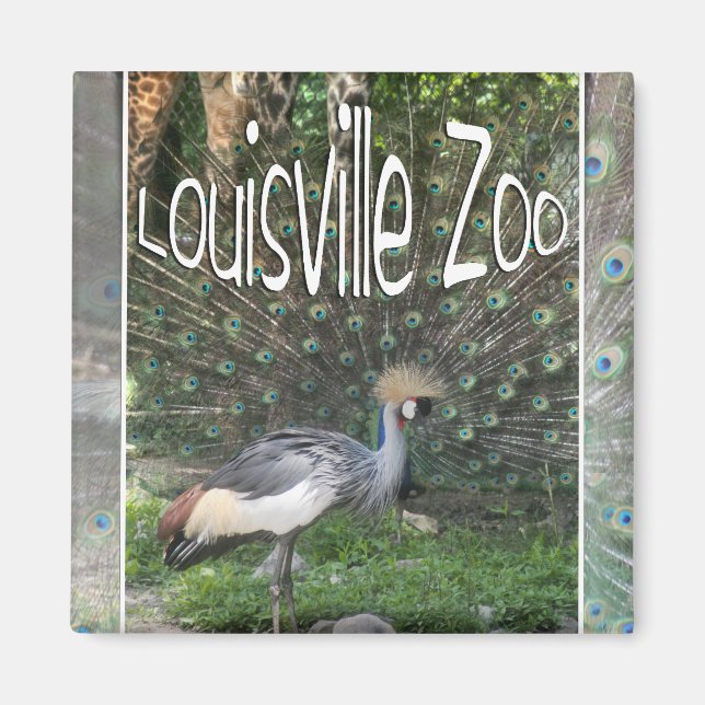 IMÁN LOUISVILLE ZOO ANIMAL LINEUP CRANE, PEACOCK (Frente)