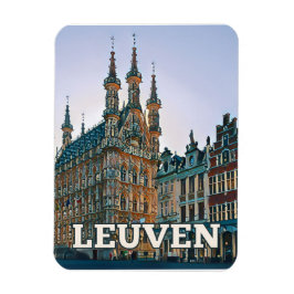 Imán Louvain Belgique Photo Vintage