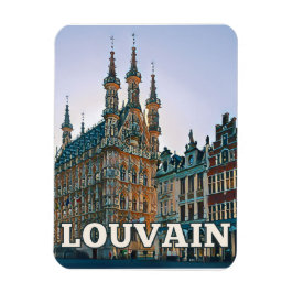 Imán Louvain Belgique Photo Vintage