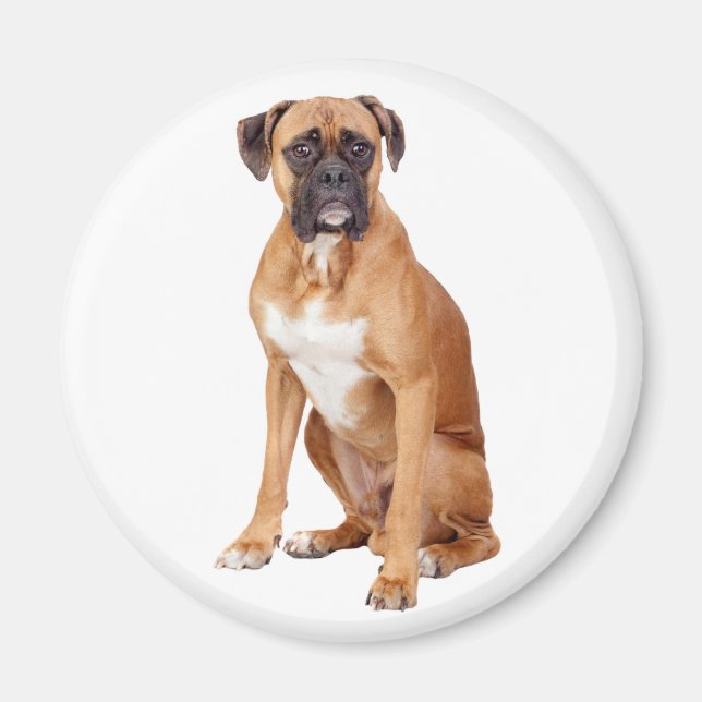 Imán Love Boxer Puppy Dog Fridge Magnet (Frente)