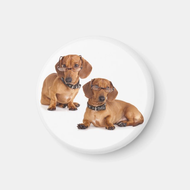 Imán Love Dachshund Puppy Dog Fridge Magnet (Frente)