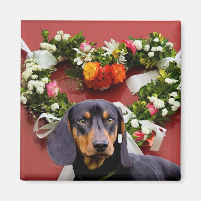 Imán Love Dachsund imnet (Frente)