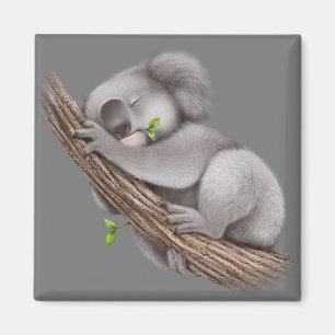 Imán Love Koala Bears