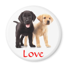 Love Labrador Retriever Puppies Fridge Magnet