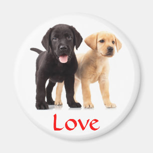 Imán Love Labrador Retriever Puppies Fridge Magnet