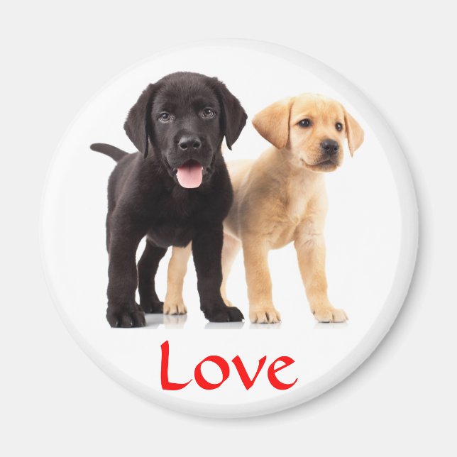 Imán Love Labrador Retriever Puppies Fridge Magnet (Frente)