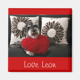 Imán Love Leon