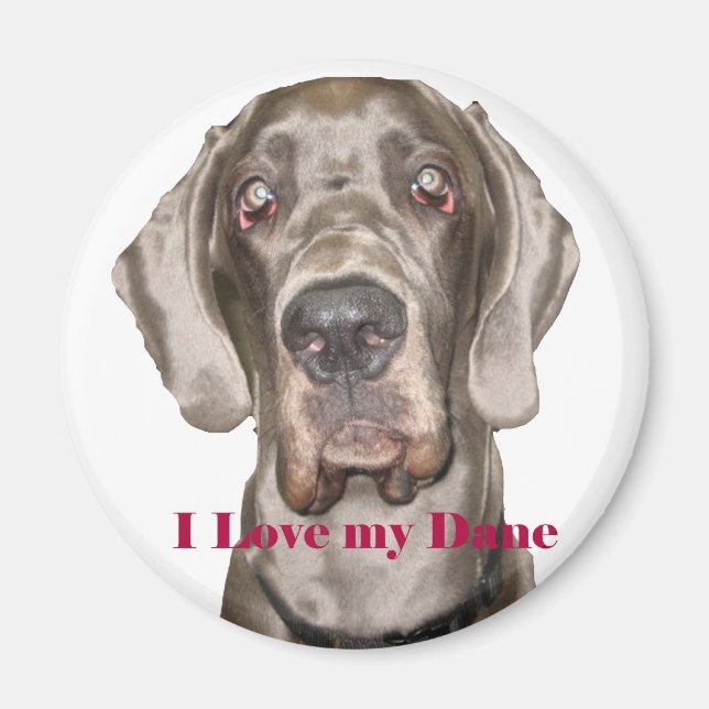 Imán Love My Dane (Frente)