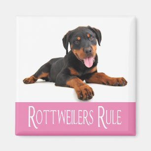 Imán Love Rottweiler Puppy Dog