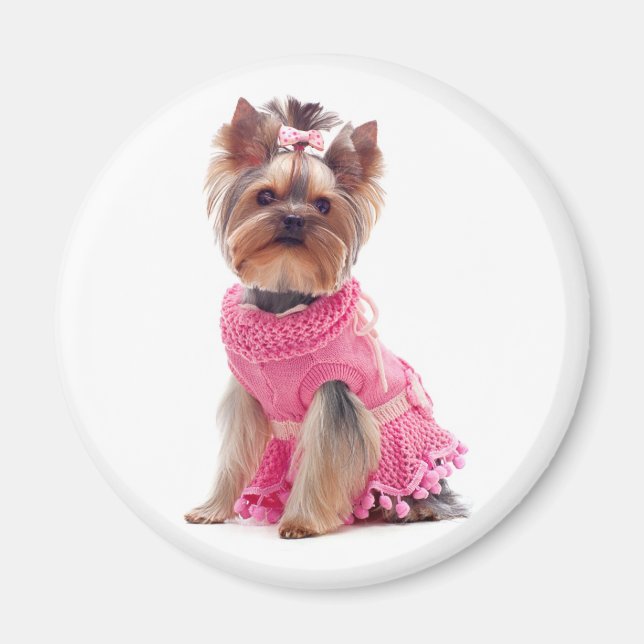 Imán Love Yorkshire Terrier Puppy Dog Magnet (Frente)