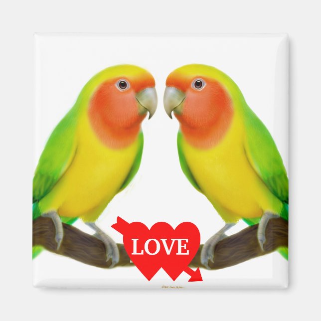 Imán Lovebird Love Magnet (Frente)