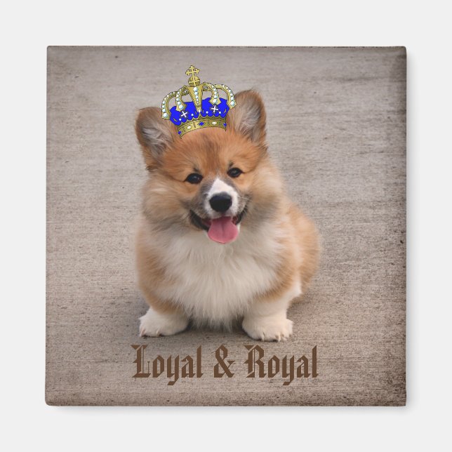 Imán Loyal y Royal Corgi Puppy (Frente)