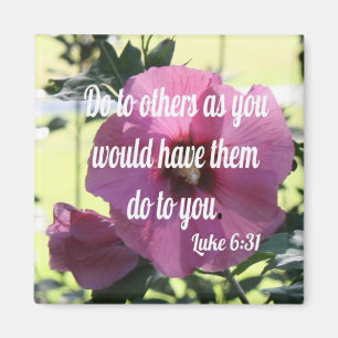 Imán Lucas 6:31
