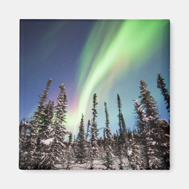 Imán Luces boreales | Parque nacional Denali (Frente)