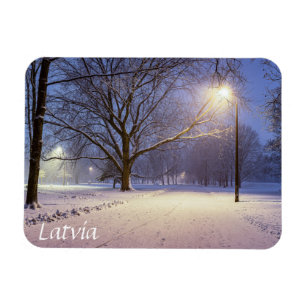 Imán Luces de calle cubiertas de árboles de nieve