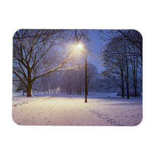 Imán Luces de calle cubiertas de árboles de nieve