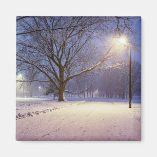 Imán Luces de calle y cubierta de nieve