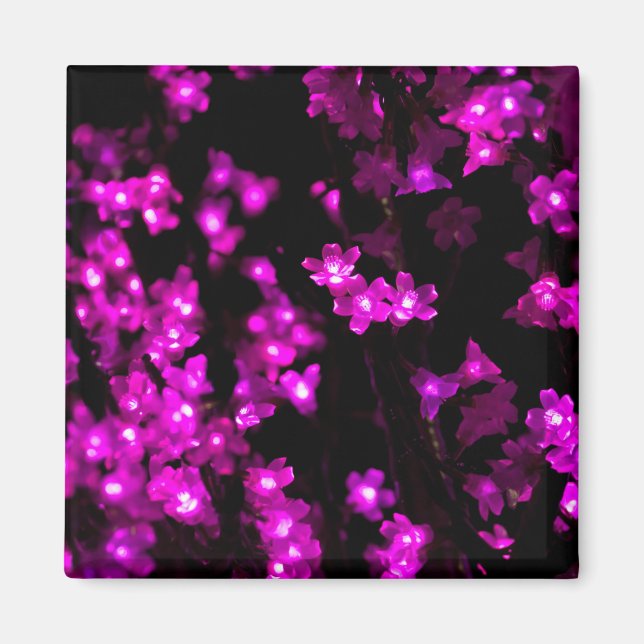 Imán Luces de flor rosa brillante (Frente)