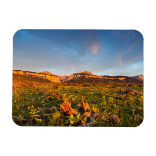 Imán Luces del amanecer Cañón de hojas negras 2