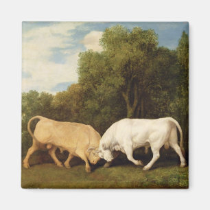 Imán Lucha de toros de George Stubbs el , 1786 (aceite