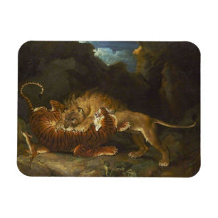 Imán Lucha entre un león y un tigre