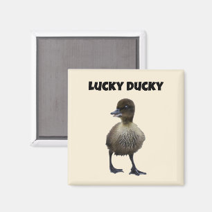Imán Lucky Duck Funny Cute Duckin Bird Photo Art