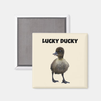 Imán Lucky Duck Funny Cute Duckin Bird Photo Art