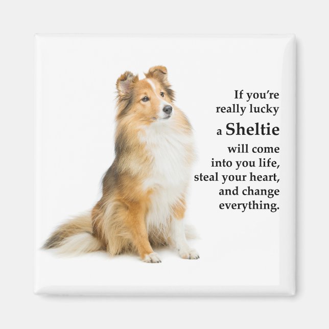 Imán Lucky Sheltie (Frente)