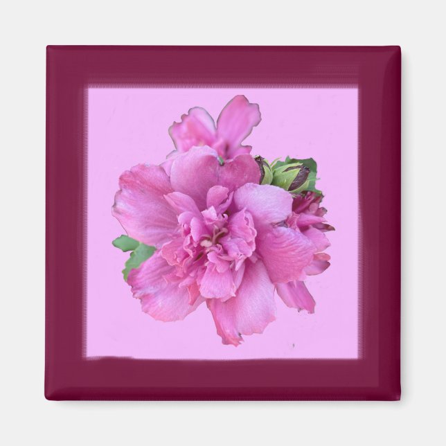 Imán Lucy Rosa Square Magnet (Frente)