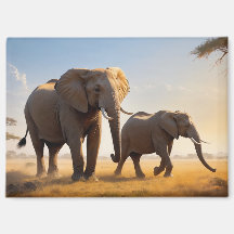 Lugar relajante para disfrutar