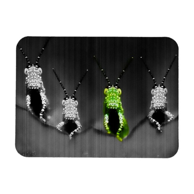 Imán Lumpy Green Bug (Horizontal)