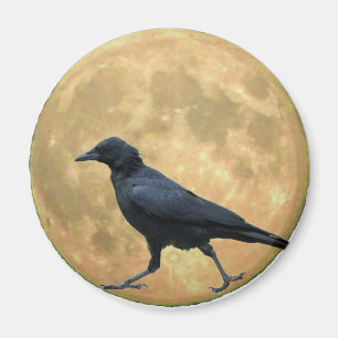 Imán Luna llena, cuervo que camina