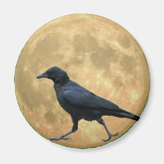 Imán Luna llena, cuervo que camina