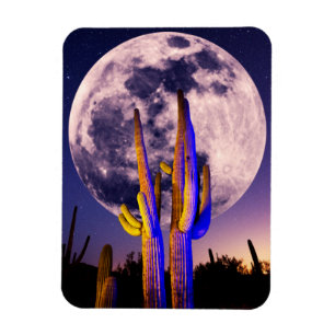 Imán Luna Llena Sobre Cactus Saguaro