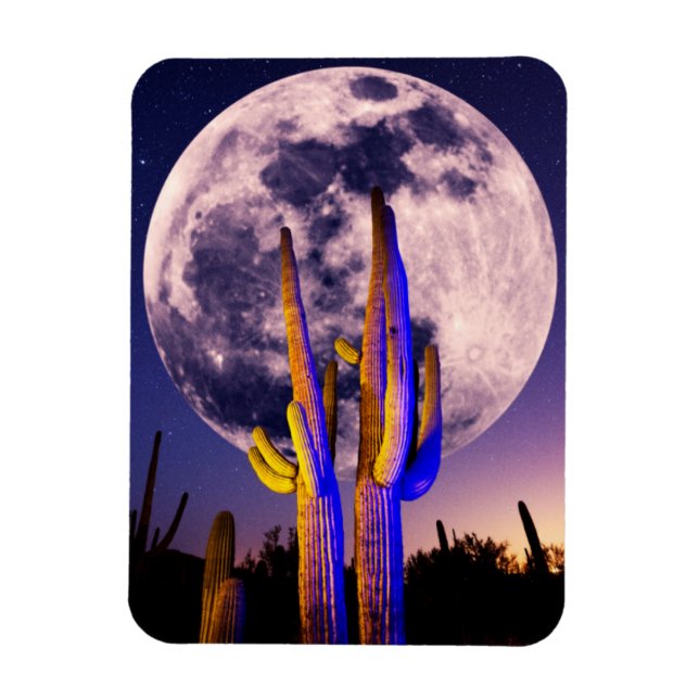 Imán Luna Llena Sobre Cactus Saguaro (Vertical)