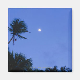 Imán Luna luminosa, silueta de cocoteros