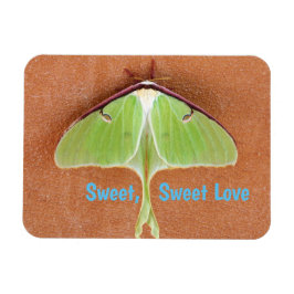 Imán Luna Moth Flexible Magnet