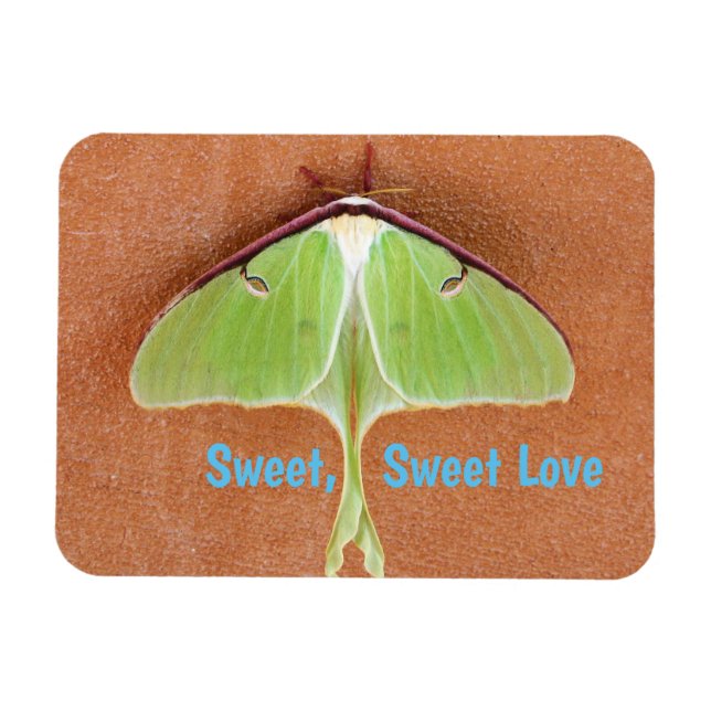 Imán Luna Moth Flexible Magnet (Horizontal)