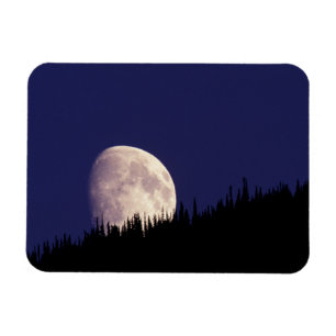 Imán Luna y bosque   Parque Nacional Glaciar Montana