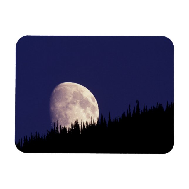 Imán Luna y bosque | Parque Nacional Glaciar Montana (Horizontal)