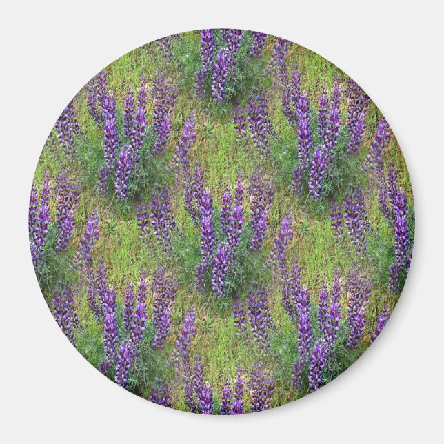 Imán Lupines Galore. (Frente)