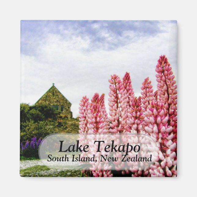 Imán Lupins rosados en el lago Tekapo Nueva Zelanda Mag (Frente)