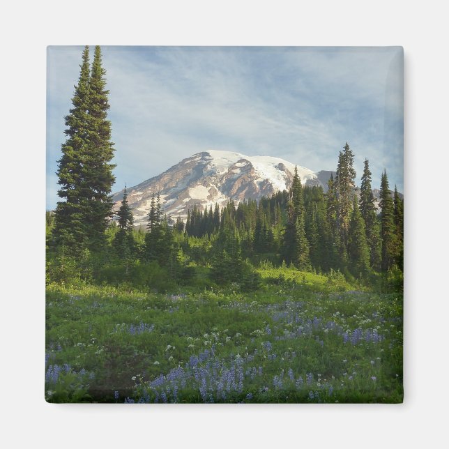 Imán Luz de la Mañana en el Monte Rainier (Frente)