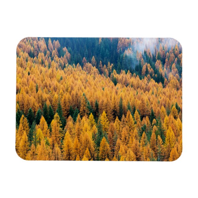 Imán Luz de la mañana en la playa | Isla Tybee (Horizontal)