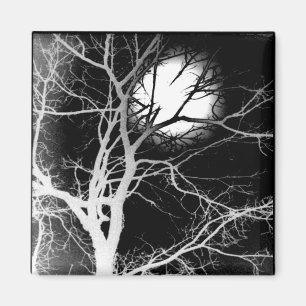 Imán Luz de luna