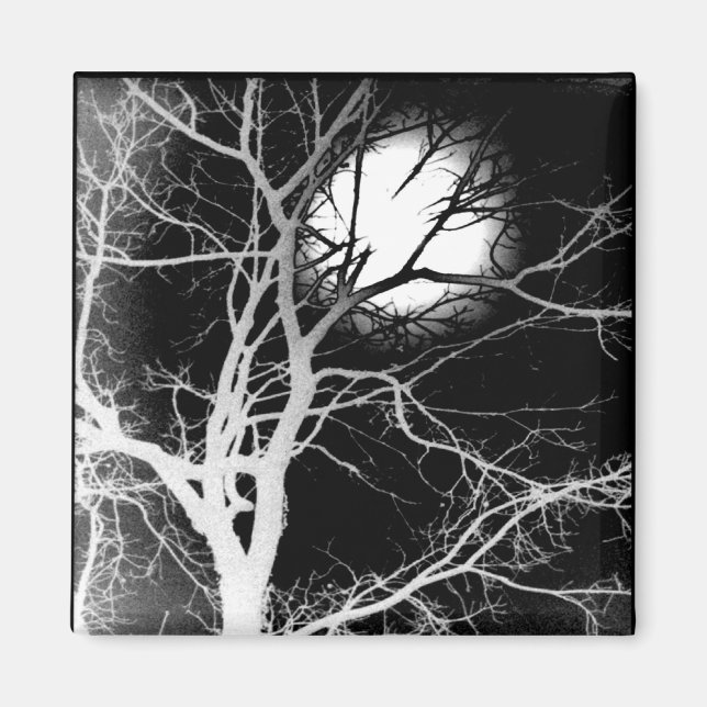 Imán Luz de luna (Frente)