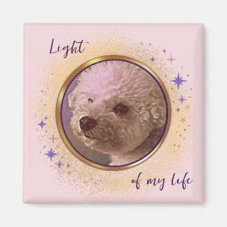 Imán Luz de Mi Vida