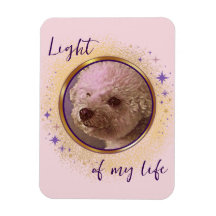 Imán Luz de Mi Vida